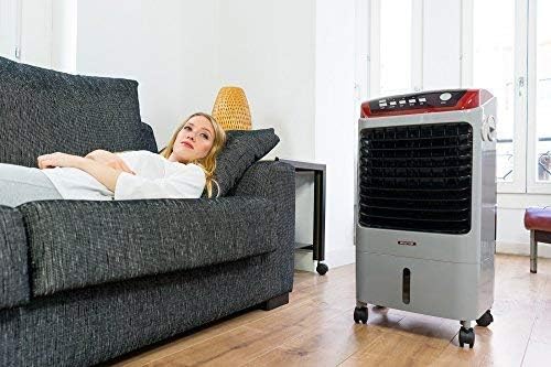 ECODE Radiador Convector de Bajo Consumo EcoWarm. Portátil, Estufa  Eléctrica, Radiadores Silenciosos, Temporizador, Control Táctil, Control  por APP Móvil, Wifi, Termostato IP24 (1000 W)